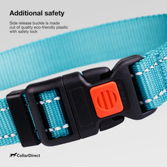CollarDirect mint green reflective collar available in universal sizes for many breeds