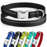 CollarDirect reflective dog-collar night-visibility supports safer night walks.