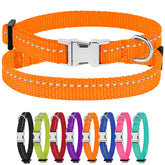 CollarDirect reflective dog collar orange improves visibility for evening strolls.