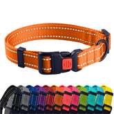 CollarDirect reflective dog collar orange closeup improves nighttime visibility for safer walks.