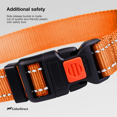 CollarDirect reflective dog collar orange on-dog neck closeup demonstrates adjustable fit.