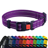 CollarDirect reflective dog collar purple closeup—high visibility for safer night walks.