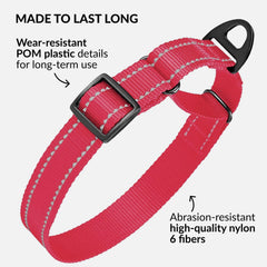 CollarDirect Mint Green Reflective Martingale Collar aids visibility during outdoor activities.