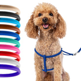 CollarDirect rolled leather harness pink for small dogs—gentle fit, tangle-free fur