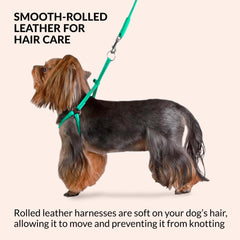 CollarDirect rolled leather harness white for tiny breeds—soft, smooth, comfortable wear