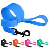 CollarDirect Waterproof Dog Leash blue 4ft demonstrates weatherproof PVC-coated nylon for outdoor adventures.