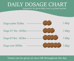 Colorado Dog easy-dosing chews support regular protection in any season.