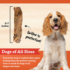 Colorado Naturals Salmon Jerky Strips USA-made production line signals quality control.