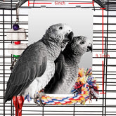 Colorday 9-inch bird mirror with rope perch provides full-body reflection for engagement.