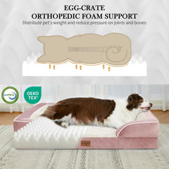 Comfort Expression XL dog bed in 34x26 sleep area for large dogs.