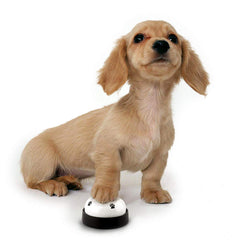 Comsmart training bells are easy to use, letting puppies tap with paw or nose for bathroom signals.