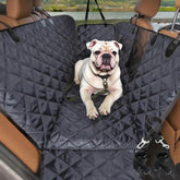 Comwish dog seat cover full back seat protects upholstery during travel.