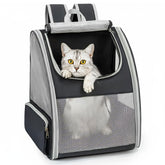 Conlun cat backpack carrier with three mesh windows for airflow and visibility