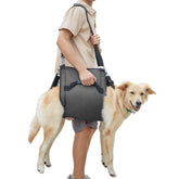 Coodeo dog carry sling front view highlighting mobility support for seniors