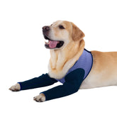 Coodeo dog recovery sleeve front view purple XL prevents licking during active play.