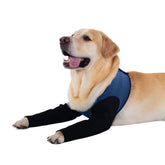 Coodeo Dog Recovery Sleeve uses durable material to protect wounds during outdoor play.
