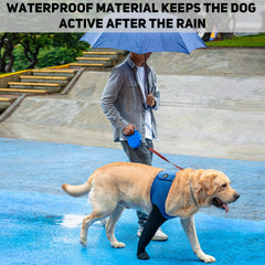 Coodeo paw-protectors-non-slip-bottom maintain indoor traction and reduce slips on slick floors.