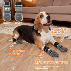 COOHAMS owner socks matching set worn during walks strengthens bonding.