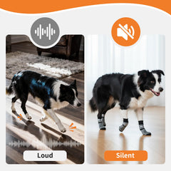 COOHAMS paw protection on hot pavement helps comfortable outdoor strolls.