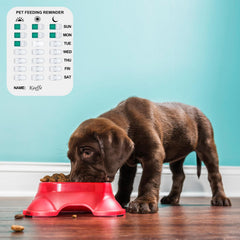 Coolrunner Pet Feeding Reminder magnet attachment demonstrates versatile fridge or wall mounting.