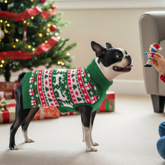 CooShou dog knitwear pullover closeup showing durable stitching and texture.