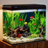 COOSPIDER 20G tank front view with ultra-clear glass for distortion-free viewing