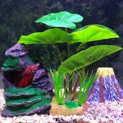 COOSPIDER Betta hammock leaf close-up shows soft edges safe for curious finned friends.