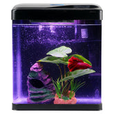 COOSPIDER Betta Tank 2-Gallon setup on a desk, compact and beginner-friendly