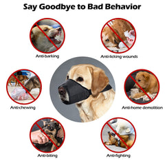 CooZero seven-sizes chart image aids choosing the right size for most dogs.