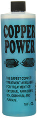 Copper Power Endich Blue Treatment bottle pictured for marine fish care in aquariums.