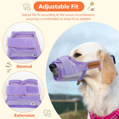Coppthinktu escape-proof nylon neck strap adds security during travel and walks.
