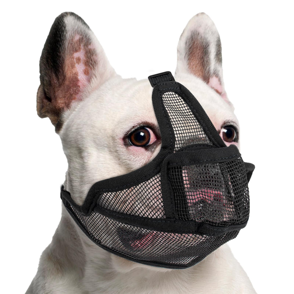 Coppthinktu short snout muzzle front view with breathable mesh for cool panting