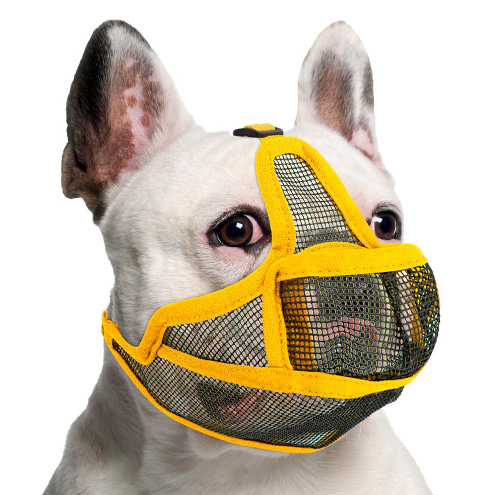 Coppthinktu short snout muzzle front mesh supports airflow and safe outdoor walking.