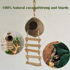 COSOC hanging plant adds natural cover and vertical enrichment for reptiles.