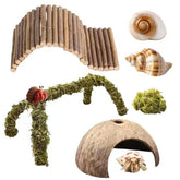 COSOC Hermit Crab climbing bridge enhances exploration and activity in a natural tank setup.