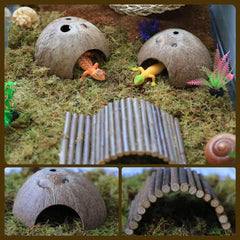 COSOC Hermit Crab Coconut Hideout provides shade, privacy, and moisture-friendly retreat.
