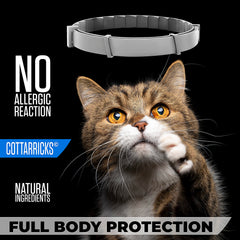 Cottarricks collar being cut to fit different cat sizes