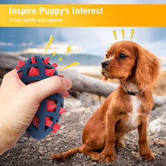 CoubonTail dog toy ball soft hollow image emphasizes safe chewing and gentle play.