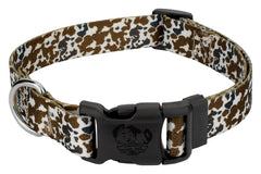 Country Brook Petz Deluxe Cow Print Dog Collar 1inch large on dog for daily comfort and style