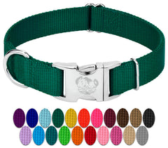 Country Brook Petz premium dog collar green front view highlighting durable nylon and comfortable fit.