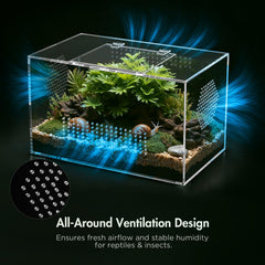 CourtyardAid acrylic terrarium with magnetic door facilitates stress-free maintenance and misting.