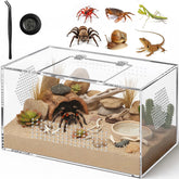 CourtyardAid acrylic tarantula enclosure side view with all-side vents for steady airflow.