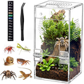 CourtyardAid jumping spider enclosure front view with crystal-clear acrylic for easy observation.