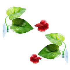 CousDUoBe Betta leaf pad set of 2 offers natural resting spots for aquariums.
