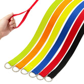 Covgopi slip lead blue with welded O-ring for quick restraint during walks