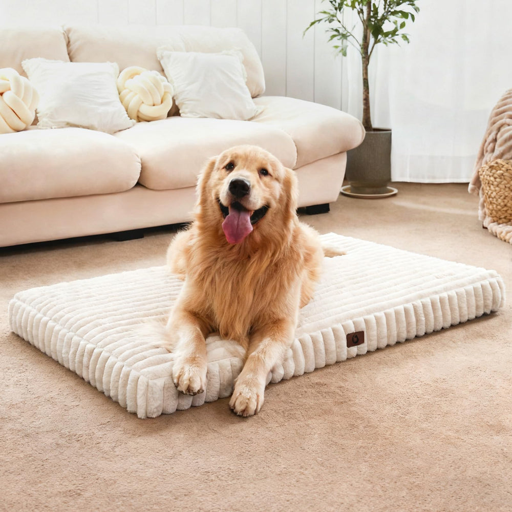 Cozila dog bed cloud plush close-up showing soft comfort for large breeds.