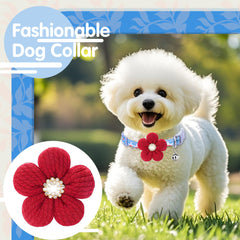 COZIRAE floral cotton collar shows delicate print for festive style.