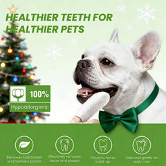 Cozura Teeth Cleaning Wipes removing tartar and plaque during a quick wipe