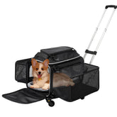 Cozy Cruiser airline-approved expanding-pet-carrier under-seat setup for easy cabin travel.