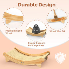 CozyLazy cat scratcher bed kitten-friendly and roomy for kittens and adult cats.